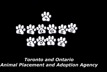 4 Legged Love, Toronto Ontario Dog Rescue