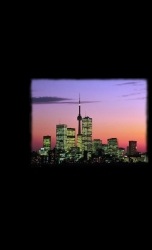 Toronto, Ontario dog adoption and rescue