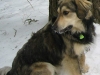 Buster1