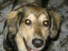 Buster2