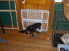 Hildy1