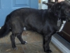 Hildy2