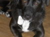 Hildy3