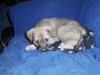 Jerry2