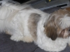 Oskar1