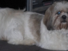 Oskar2