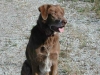 Ranger3
