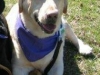 Shaunessey1