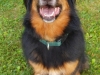 Kiley2