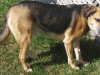 Miika1