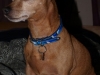 Pete7