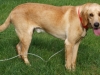 Tucker2