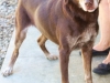 Bennie1