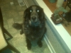 Charlie1
