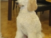 Charlie2