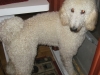 Charlie3