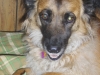 Cookie3