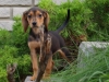 Daisy-May2