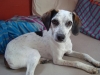 Daisy5