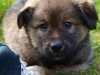 Fuzzy3