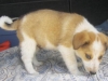 Jake1