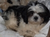 Bandit3