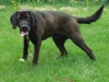 Buddy5
