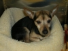 Charlie1
